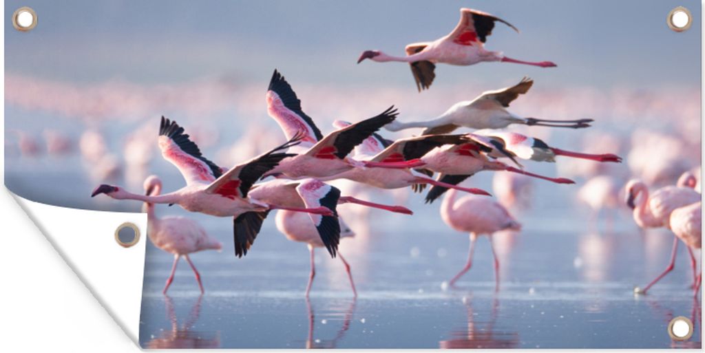 MuchoWow 160x80 cm Outdoor-Poster Gartendeko Sichtschutz Garten Poster für den Garten Flamingo - Vogel - Wasser - Rosa