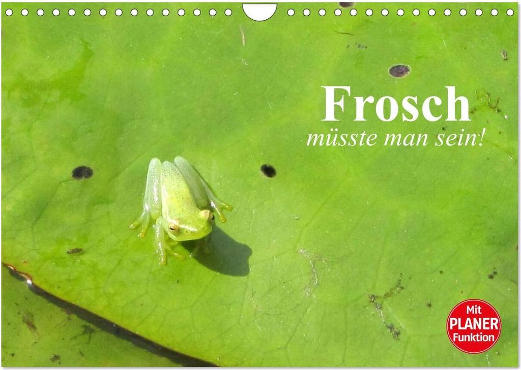Frosch müsste man sein! (Wandkalender 2026 DIN A4 quer), CALVENDO Monatskalender
