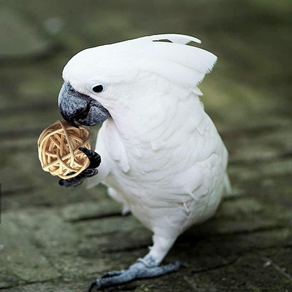 Vogelspeelzeug Set - 18 Stück - natürlich und sicher - für Papageien und Vögel