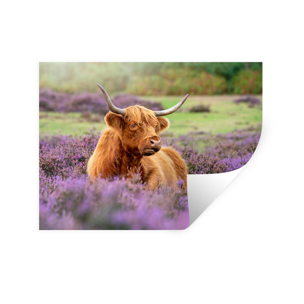 MuchoWow Wandtattoo Wandsticker Wandaufkleber Schottischer Highlander - Braun - Büsche 160x120 cm Selbstklebend und Repositionierbar - Selbstkle...