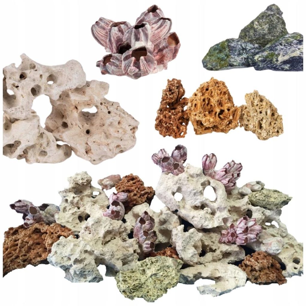 Aquarium Steine Set Malawi 12 kg, Wapien, Korallen und Muscheln, dekorative Felsen und Höhlen für Aquascaping und Zierfische
