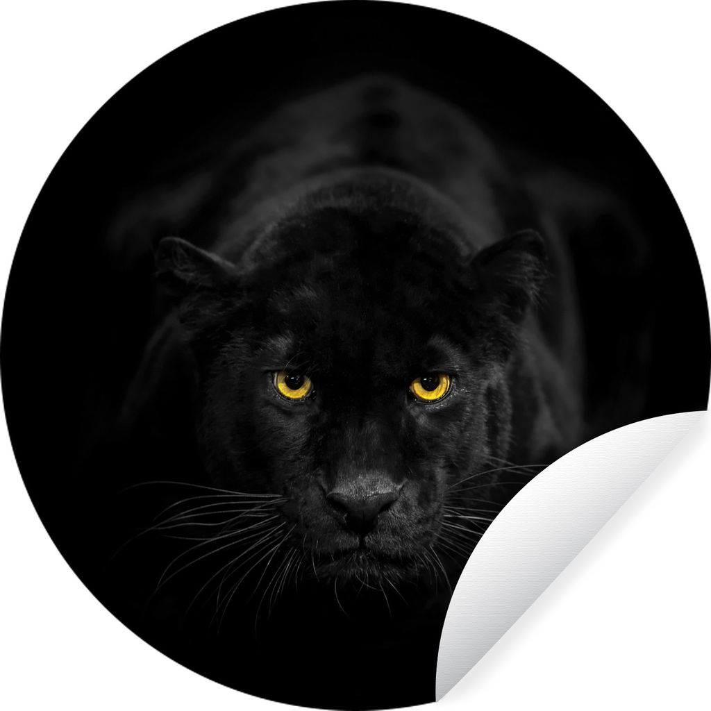 MuchoWow Runde Wandtattoo - Wandsticker Tapete Aufkleber Leopard - Augen - Schwarz Ø 30 cm Selbstklebend und Repositionierbar - Wandaufkleber - ...