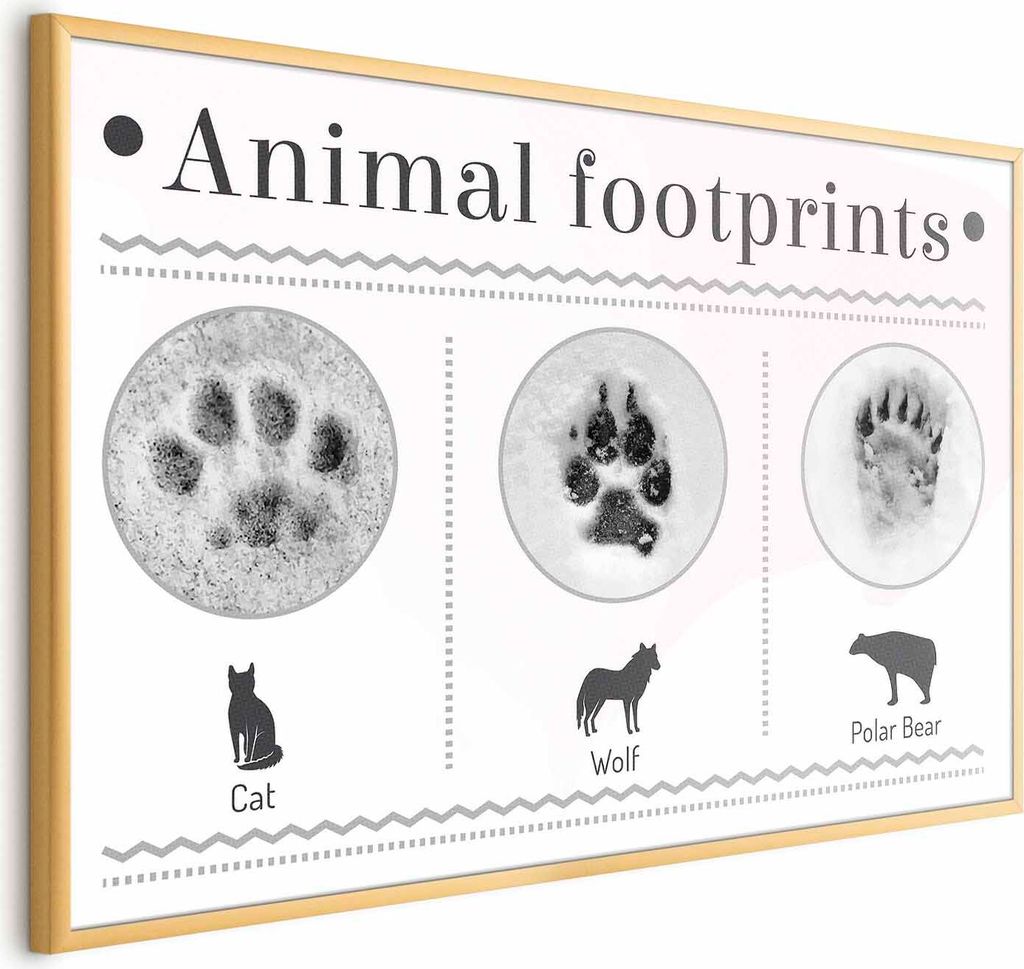 Posterpapier Poster - Paw Prints 30x21 cm Tiere g-A-0196-ao-a