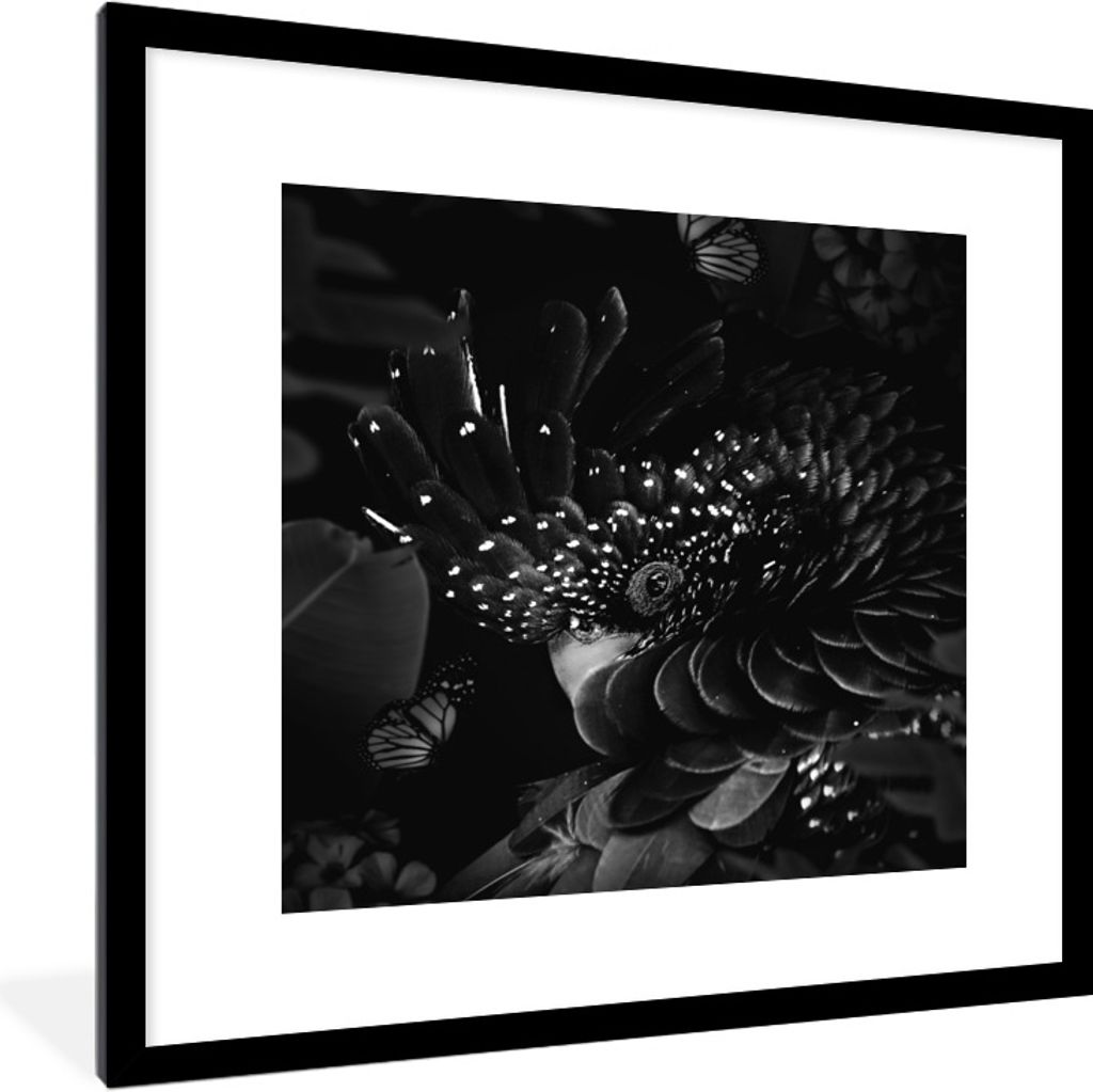 MuchoWow Gerahmtes Poster Porträt eines Kakadus umgeben von Schmetterlingen - schwarz und weiß 40x40 cm - Poster mit Schwarzem Bilderrahmen Wan...