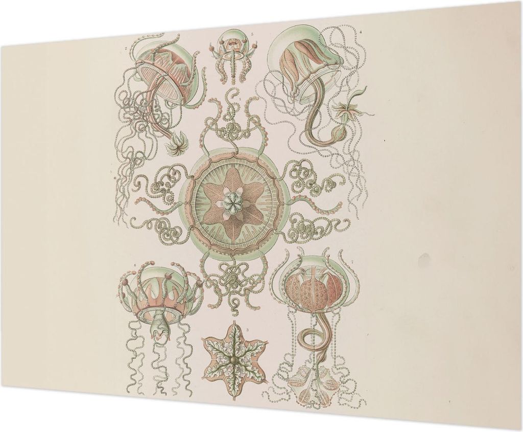 Wandtapete - Dekorative Tapete für Wohnzimmer - Tapetenfolie für Wanddekoration - 208x146 cm - Unterwasserwelt