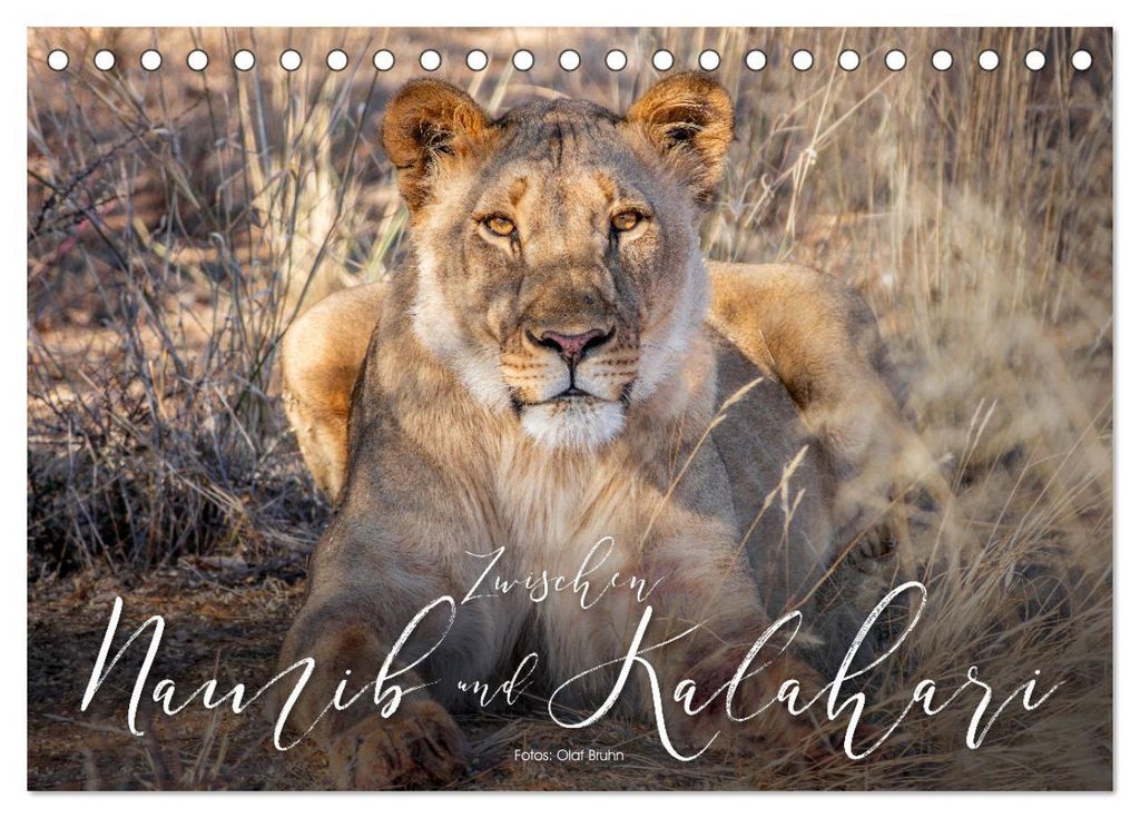 Zwischen Namib und Kalahari (Tischkalender 2027 DIN A5 quer), CALVENDO Monatskalender