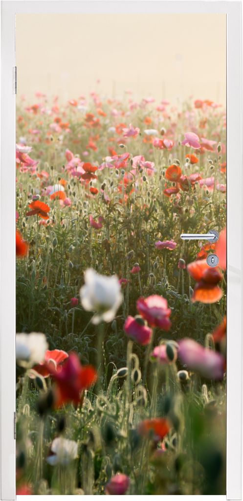 MuchoWow Türtapete Selbstklebende Türfolie Mohn - Farben - Pastell 90x205 cm Türposter Türaufkleber Klebefolie Türklebefolie - Türaufklebern