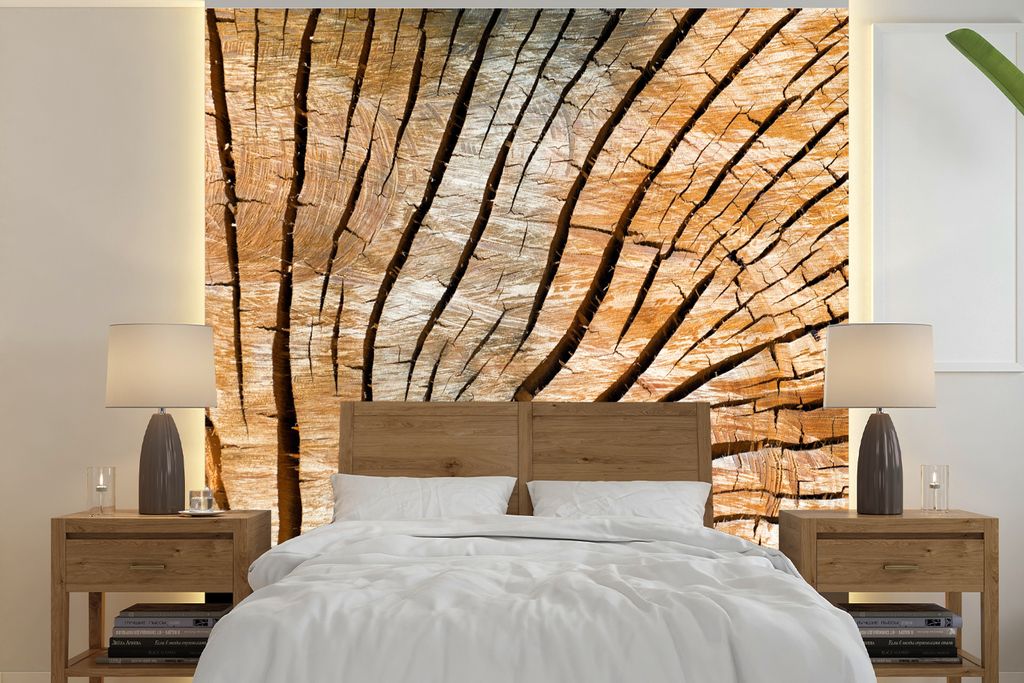 MuchoWow Fototapete für Wohnzimmer oder Schlafzimmer Wandtapete Vinyl Motivtapete Ein Querschnitt eines Baumstamms - 260x260 cm - Papiertapeten