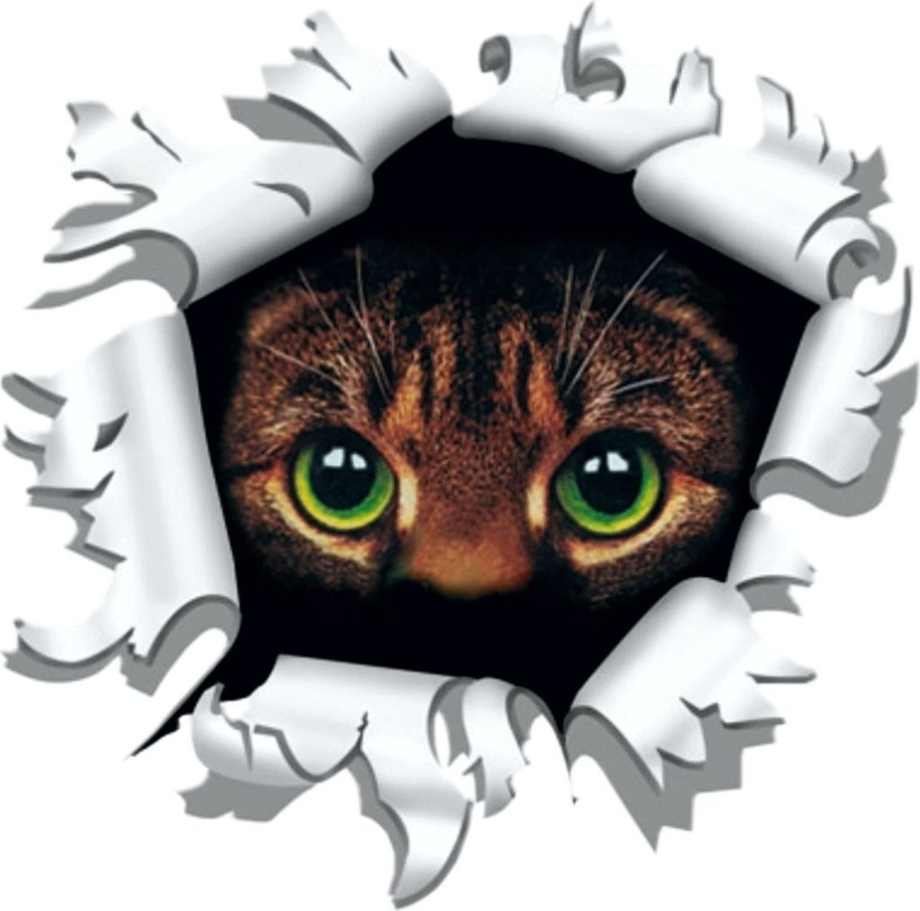 Aufkleber Einschussloch 170 mm Motiv Katze