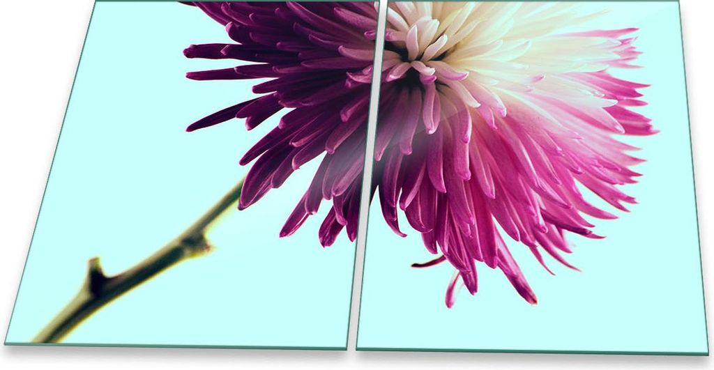 Herdabdeckplatte Glaskeramik 2-Teilig 2x40x52 Blumen Violett Abdeckung Spritzschutz