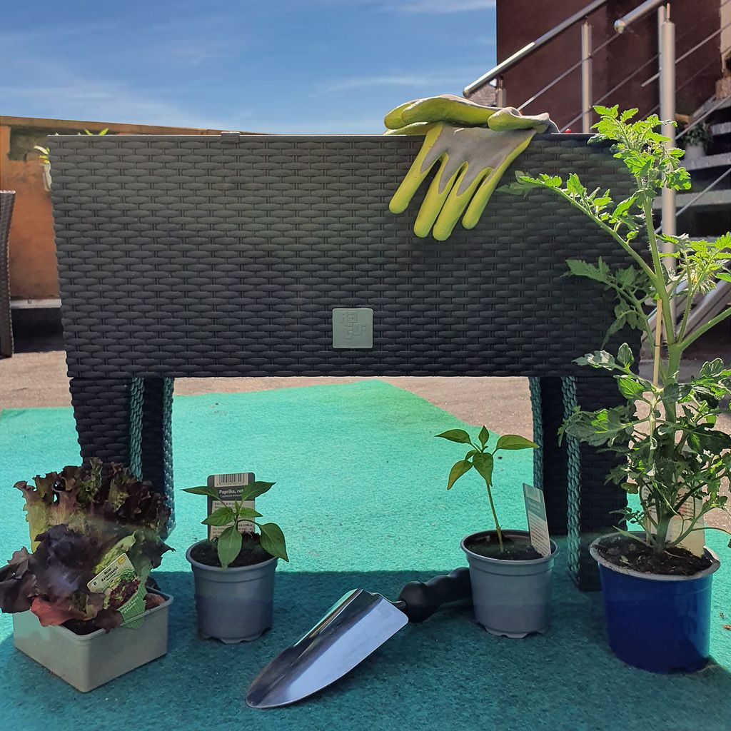 DEUBA® Hochbeet 2in1 Funktion Balkonkasten 30L Produktbild 7
