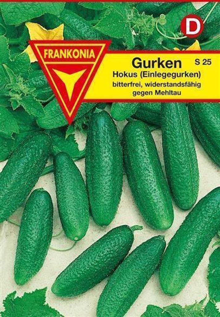 Gurke Hokus Einlegegurke Produktbild 