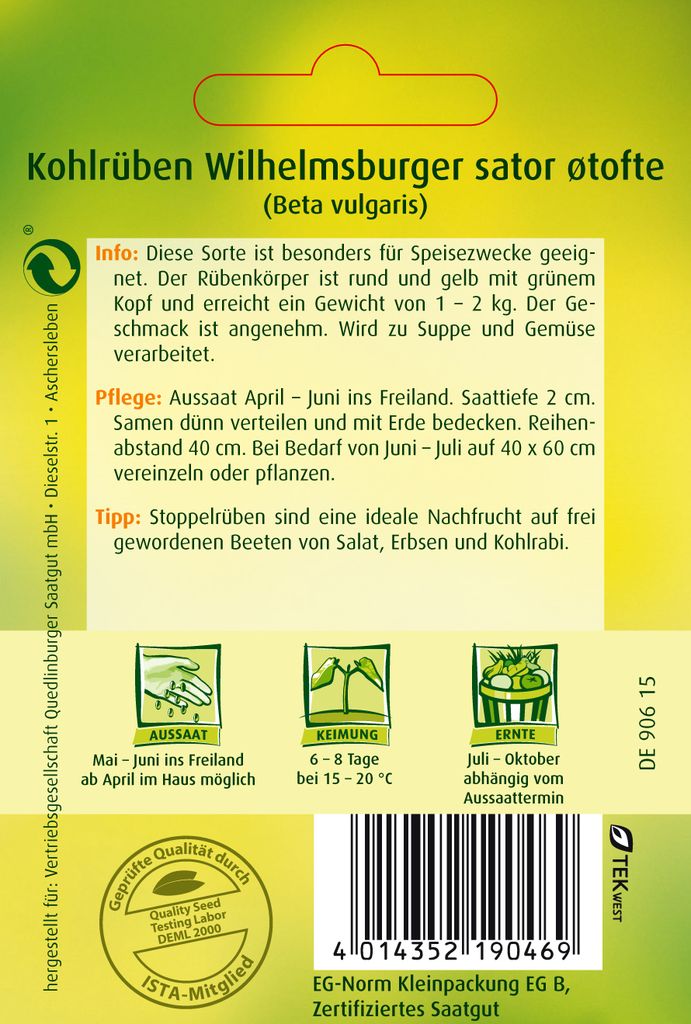 künstliche pflanzen set Costa Rica 4er-Set main image 1