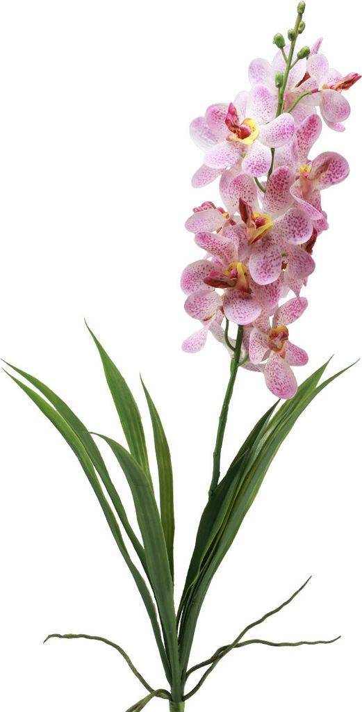 Künstliche Orchidee Pink Weiß Real-Touch Kunstblume Dekoration 73cm
