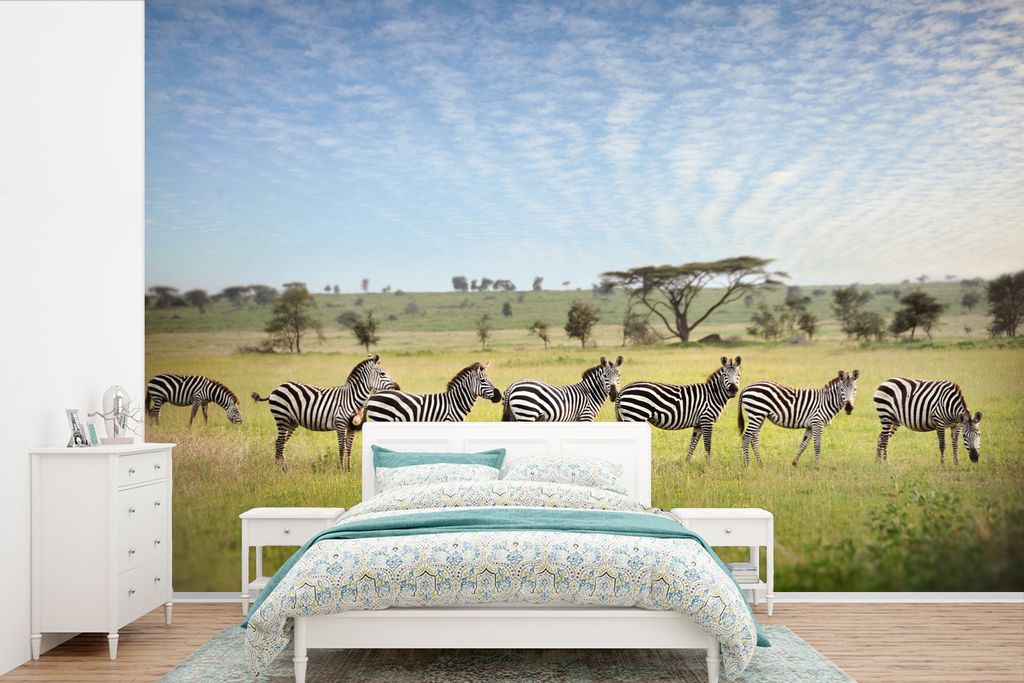 MuchoWow Fototapete für Wohnzimmer oder Schlafzimmer Wandtapete Vinyl Motivtapete Eine Reihe von Zebras spaziert durch die Savanne des Serengeti...
