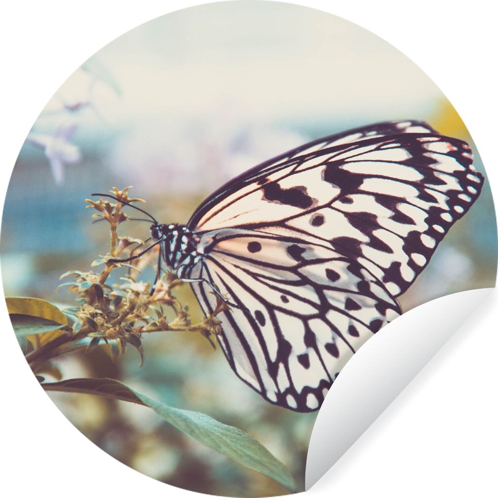 MuchoWow Runde Wandtattoo - Wandsticker Tapete Aufkleber Schmetterling - Blumen - Frühling Ø 100 cm Selbstklebend und Repositionierbar - Wandau...