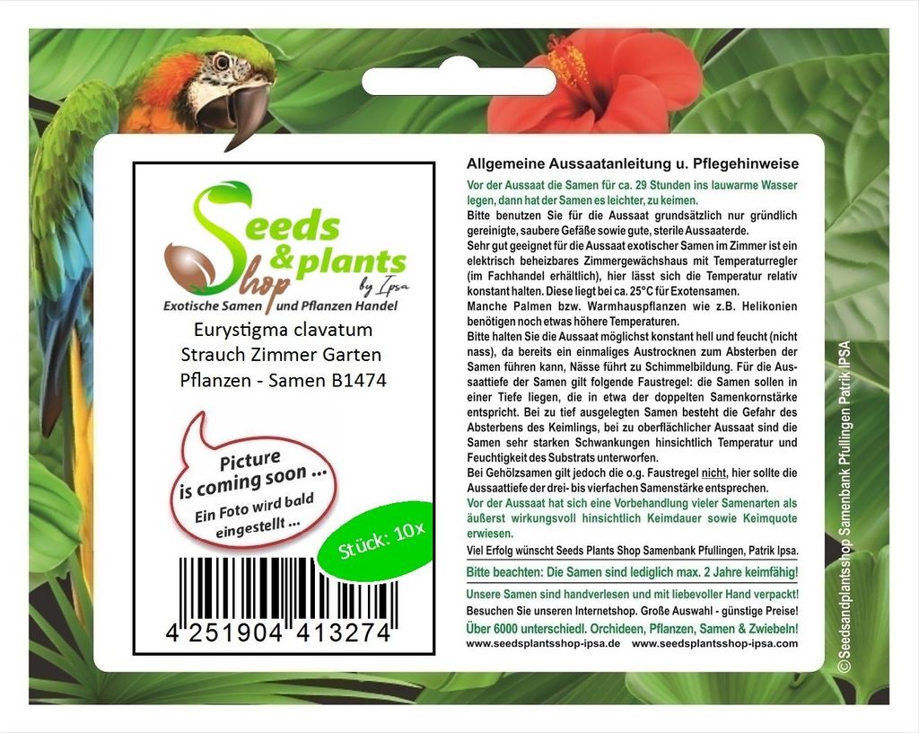 10x Eurystigma clavatum Strauch Zimmer Garten Pflanzen - Samen B1474