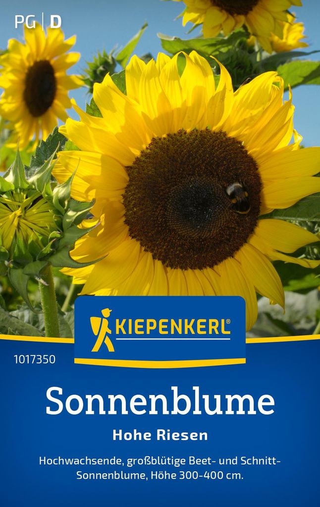 Kiepenkerl Sonnenblumensamen Hohe Riesen Helianthus annuus Produktbild 