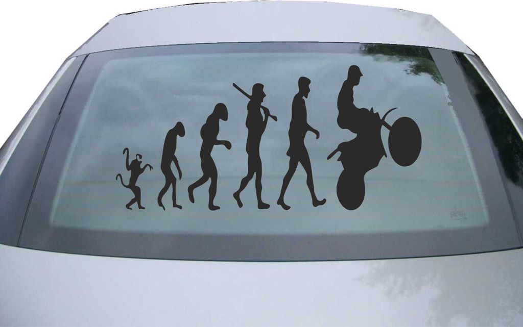 Indigos UG - Aufkleber Heckscheibe & Motorklappe DE6286 - schwarz - 600x285 mm - human evolution - Auto Scheiben Fenster Heckklappe Tuning Racing J...