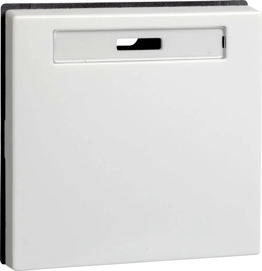 Bascule blanc pur 273624 avec champ de marquage pour identification