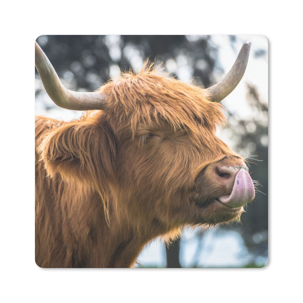 MuchoWow Mauspad Mousepad Schottischer Hochländer - Kuh - Frühling - Tiere 30x30 cm - Mousepads - Maus Mat - Pad - Mausunterlage - Gaming