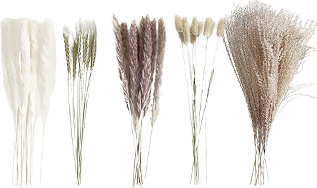 Bund trockenes Schilfgras, kein Gießen, nicht verwelkt, pflegeleicht, natürlich, getrockneter Pflanzenstrauß, DIY, Hochzeit, Boho-Blume, Heimdek...