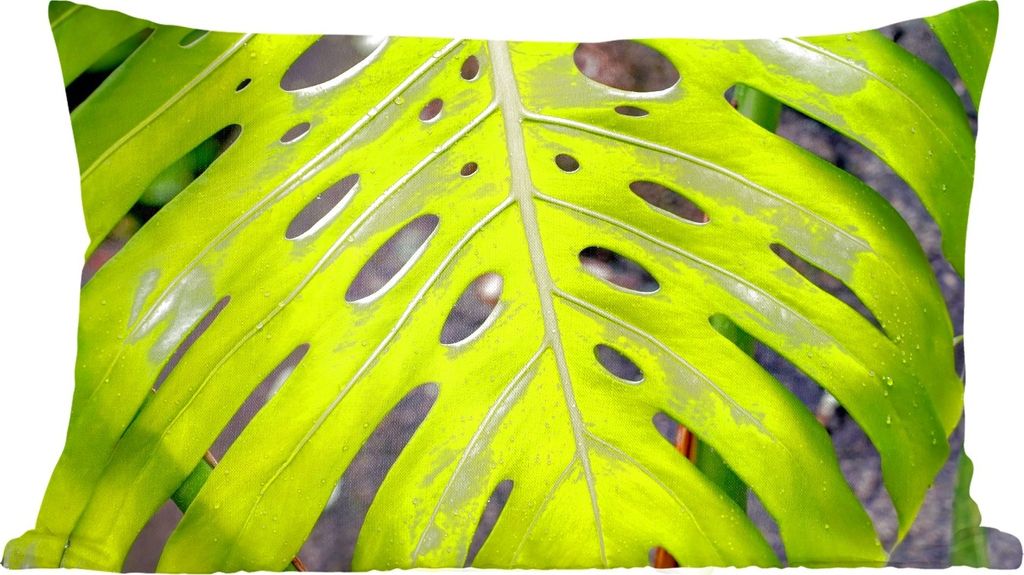 MuchoWow Zierkissen Sofakissen Wohnzimmer Dekokissen 50x30 cm Großes botanisches Blatt der Lochpflanze - Wohnzimmerdekoration - Polster mit Photo