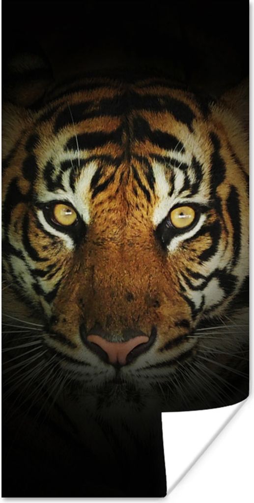 MuchoWow Poster Tiger - Licht - Augen 60x120 cm - Wandschmuck