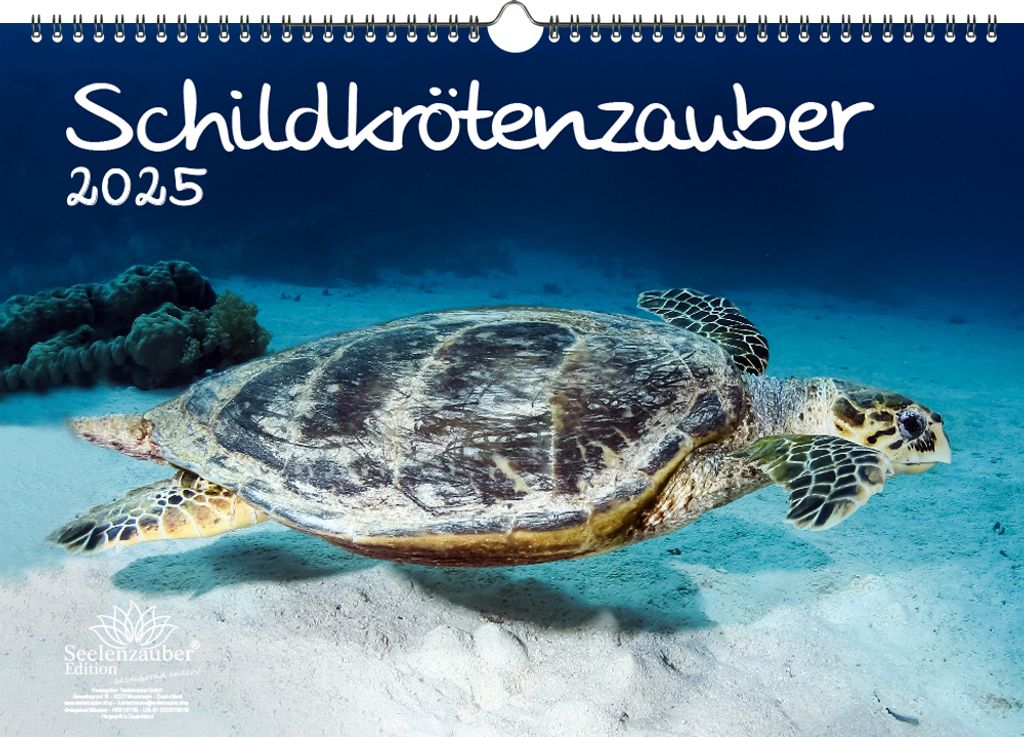 Schildkrötenzauber DIN A3 Kalender für 2025 Schildkröten - Seelenzauber