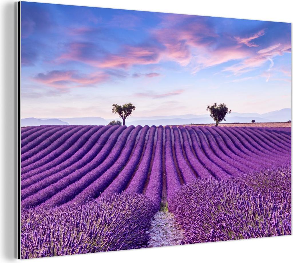 MuchoWow Wanddekoration Metall Metallbild Wandkunst 60x40 cm Lavendel - Natur - Lila - Bäume - Blumen MuchoWow Aluminium Gemälde - Gemälder