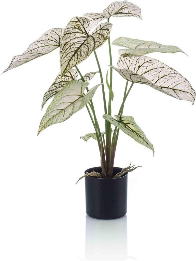 artplants.de Künstliche Caladium Yawar mit Wurzeln, Produktbild 