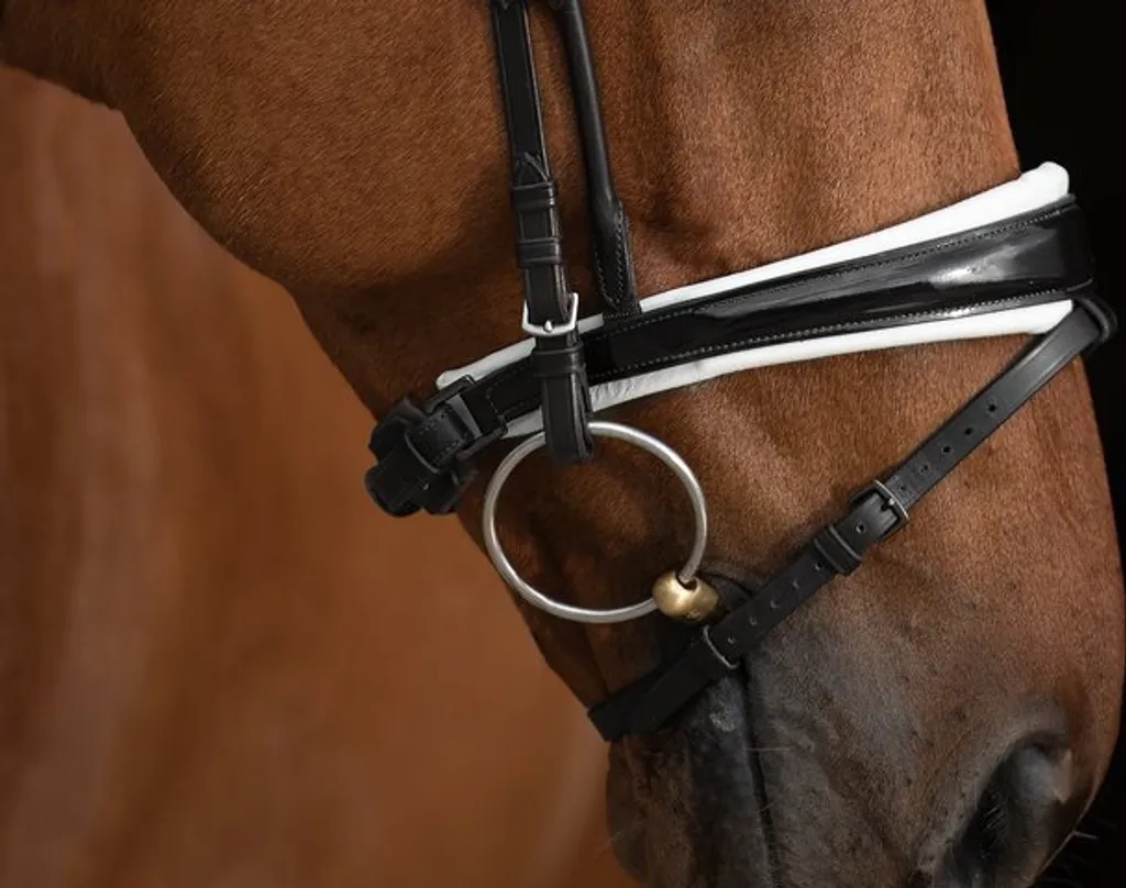 Bridon PS of Sweden GP laqué en cuir noir et blanc doublé taille Full