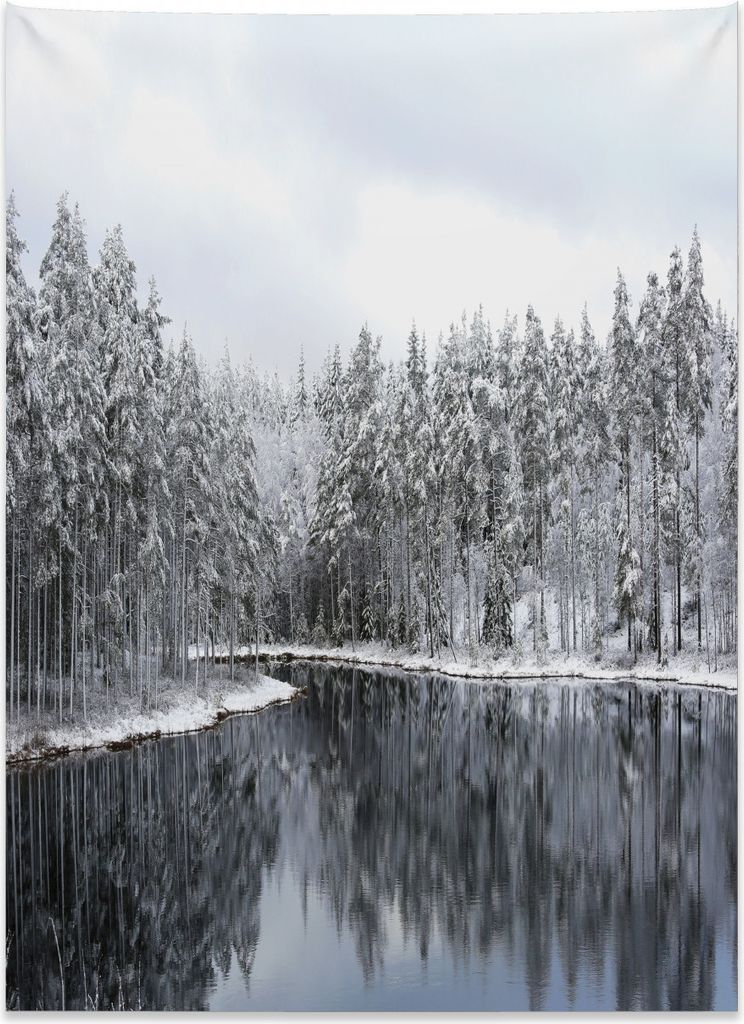 Abakuhaus Winter Wandteppich, Bäume in Cold Day Lake aus Weiches Mikrofaser Stoff Kein Verblassen Klare Farben Waschbar, 110 x 150 cm, Weiß Braun