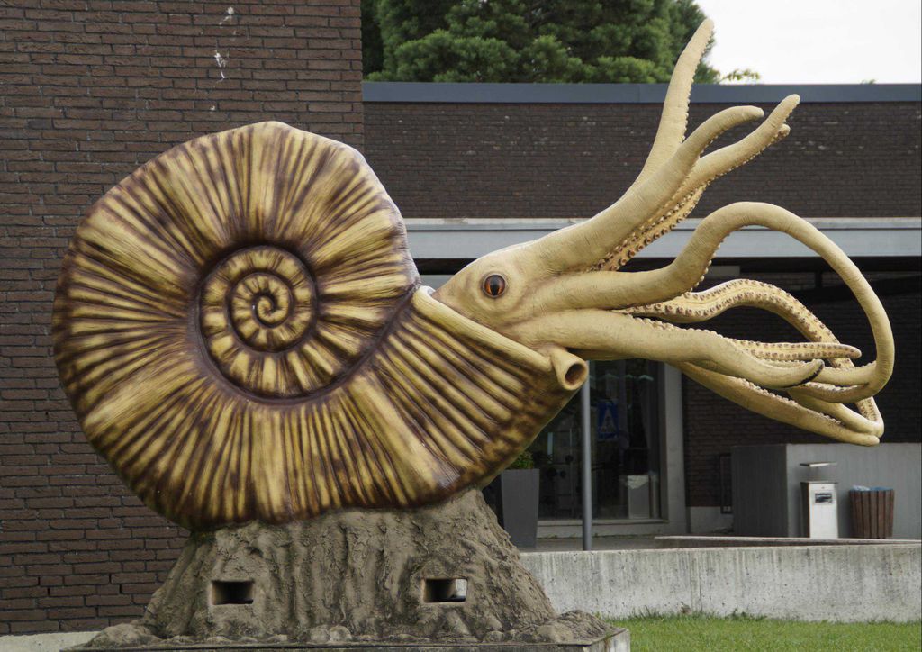 hansepuzzle 11366 - Ammonit Puzzle, 260 Teile, Orte, 41,0 x 28,0cm mit hochwertiger Aufbewahrung, Kartonbox und wiederverschließbarem Beutel