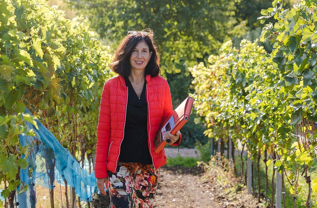 mydays Krimiwanderung Frankfurt am Main; Erlebnis verschenken oder selbst erleben; Gutschein für 1 Person(en)