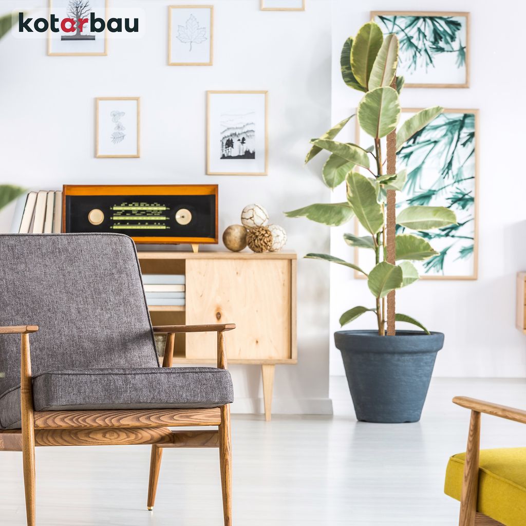 KOTARBAU® Mechová tyč pro Monsteru Kokosová tyč Přírodní ⌀ Obrázek produktu 4