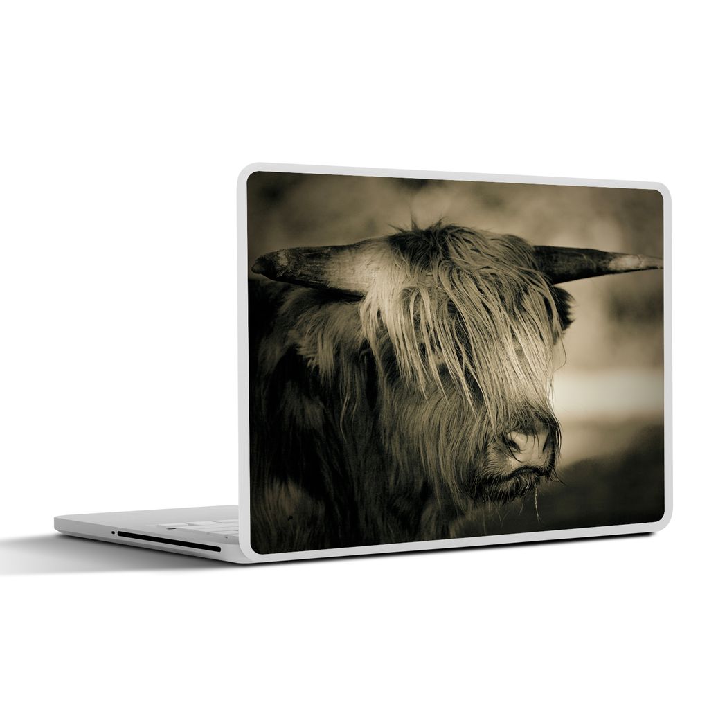 MuchoWow Laptop Aufkleber Sticker Cover Schottischer Highlander - Tiere - Haare 40x30 cm - Laptop Dekoration - Selbstklebend