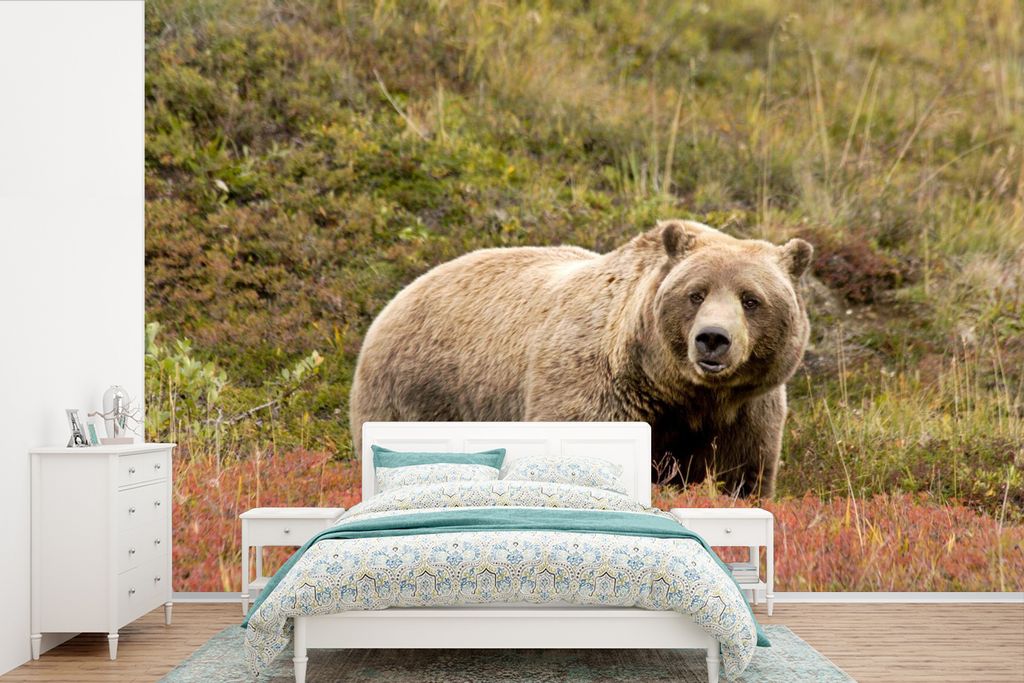 MuchoWow Fototapete für Wohnzimmer oder Schlafzimmer Wandtapete Vinyl Motivtapete Bär - Heidekraut - Grizzly - 450x300 cm - Gemusterte