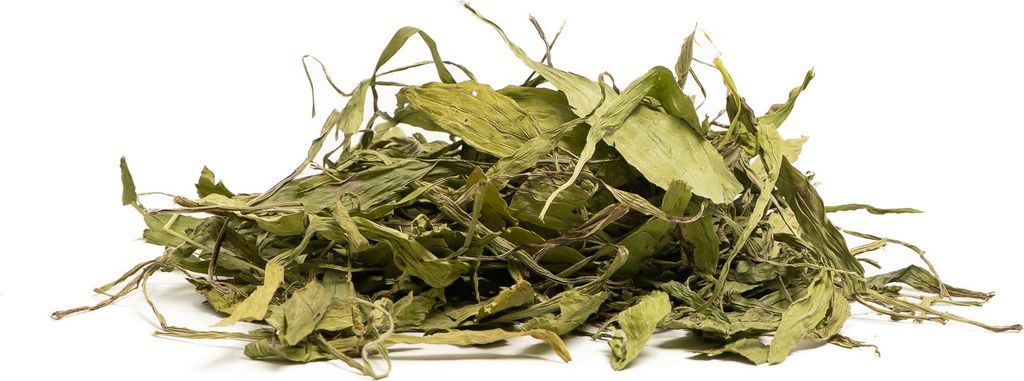 Zioła dla koni CAVELLA HERBS Suszona babka lancetowata Zdjęcie produktu 