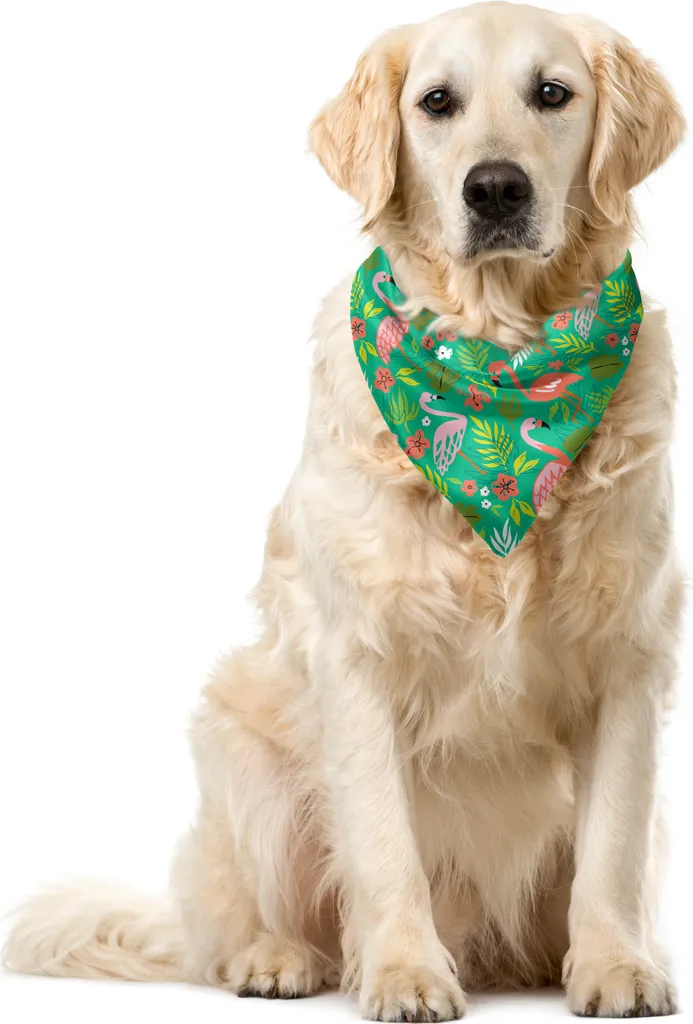 Bandana Cane ABAKUHAUS Tropicale Fenicotteri 40x40 cm | Accessori Pet