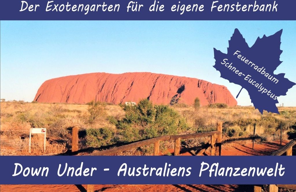 Anzuchtset Australiens Pflanzenwelt | Anzuchtsets von Saflax