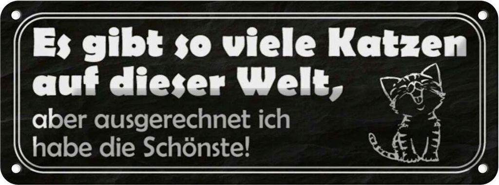 vianmo Blechschild 10x27 cm es gibt so vile Katzen auf Welt Spruch Zitat