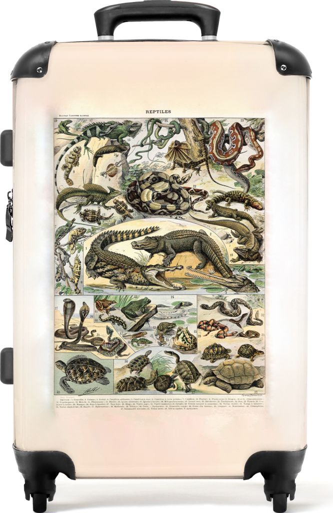 NoBoringSuitcases.com Großer Koffer - Reptilien - Illustration - Vintage - Natur - Tiere - Kombinationsschloss TSA - Hartschalen Trolley 4 Rolle...