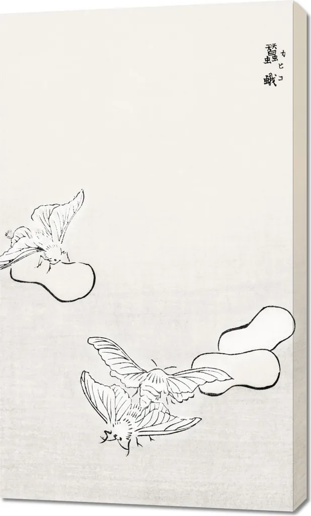 Tableau 60x100 cm Papillons de nuit pour Salon au Style Japonais Chic