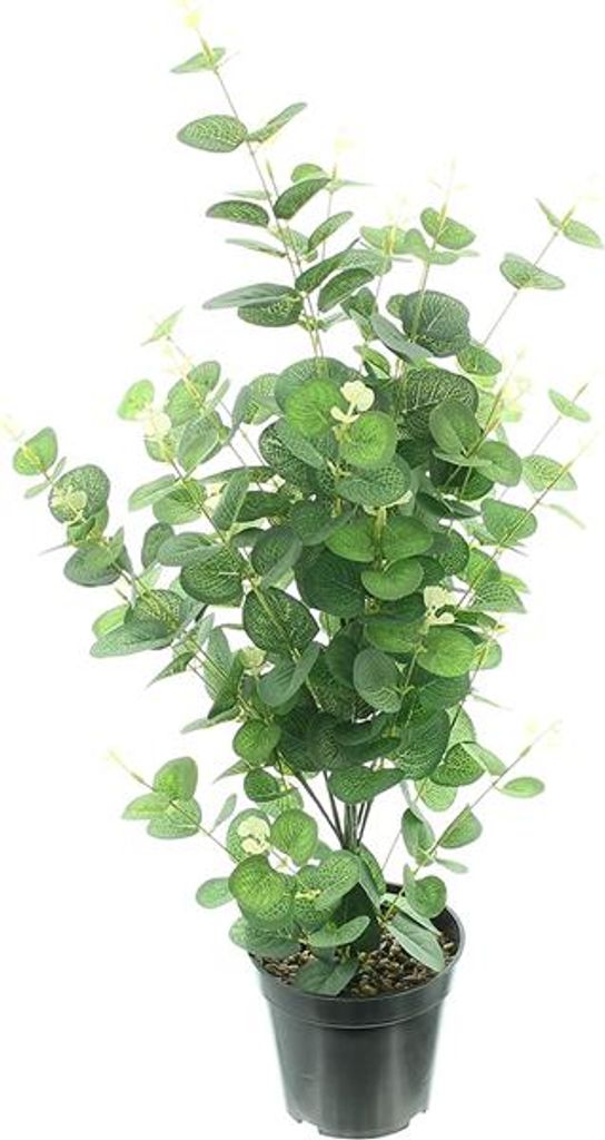 Kunstpflanze "Eukalyptus" im Topf, 65 cm Kaufland.de