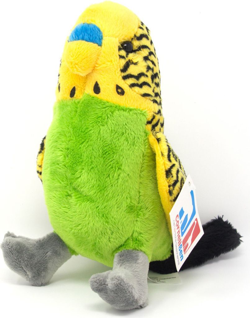 A plush toy budgie sitting on a white background.
