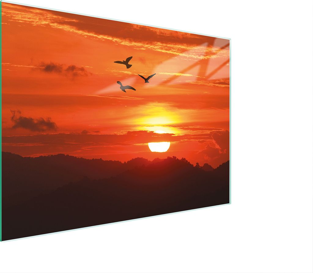 Schneidebrett Herdabdeckplatte Multiglasschneidplatte 30x22 cm Vögel Orange
