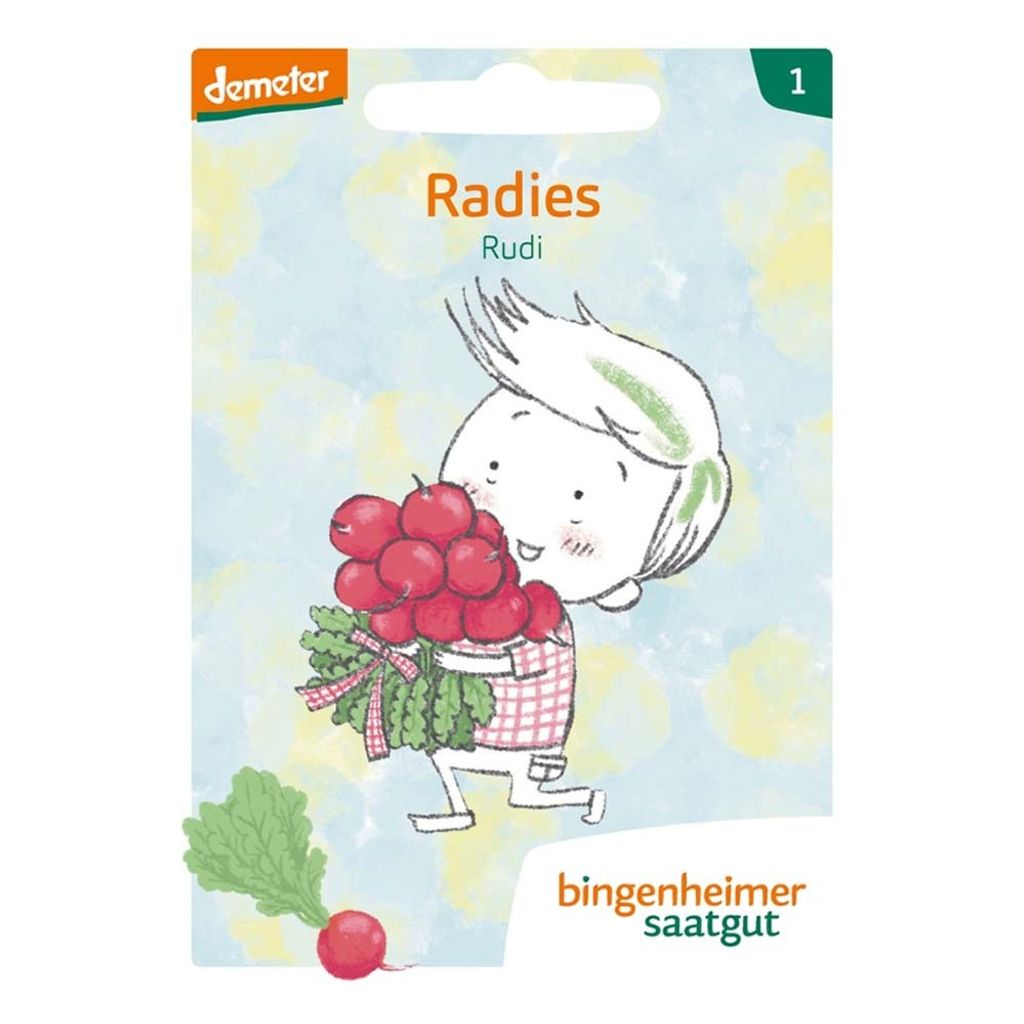 Radies - Rudi