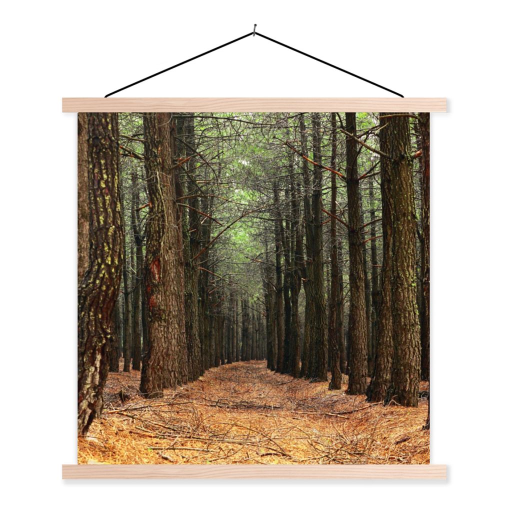 MuchoWow Textilposter Herbst - Dekoration - Wald 120x120 cm mit holzfarbenen Rahmen - Textil-Poster