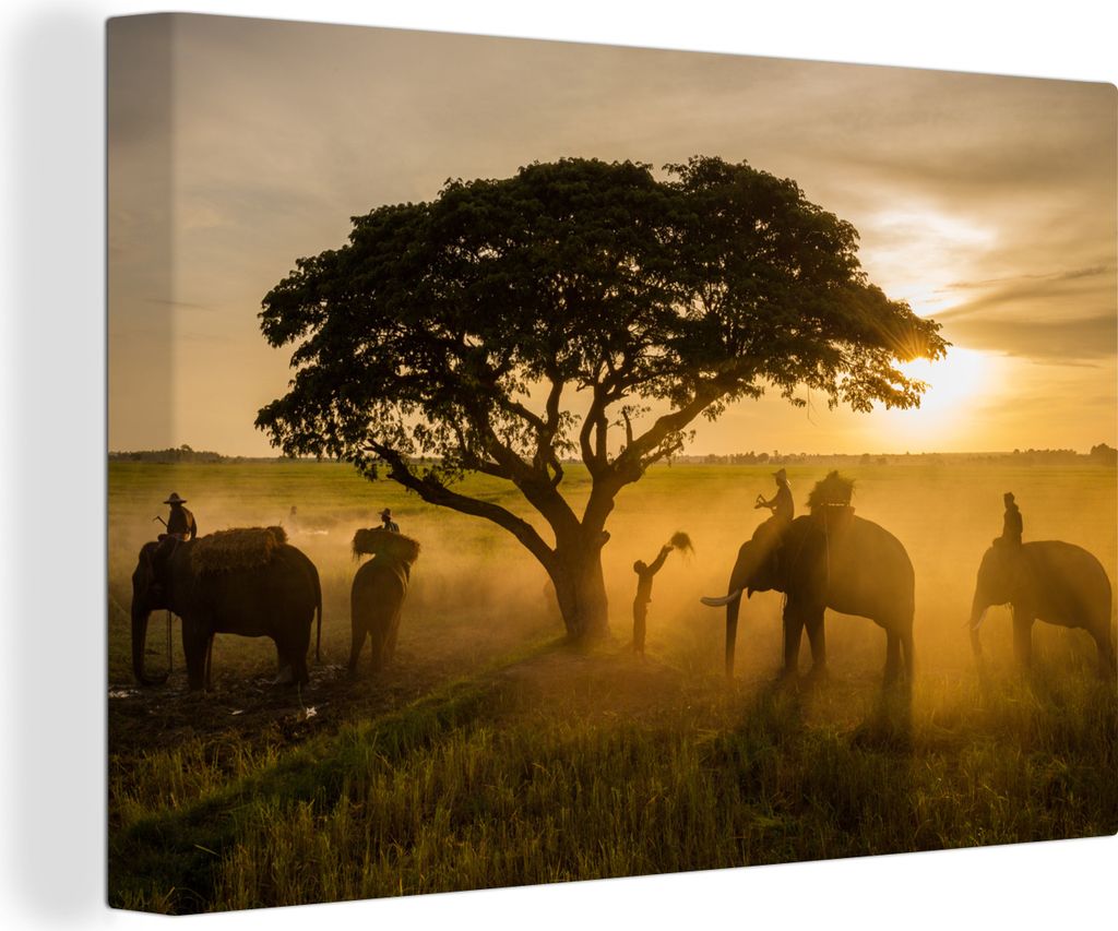 OneMillionCanvasses - Leinwandbilder - 150x100 cm, Changwat Surin, Thailand, Wandbilder Kunstdruck Wanddekoration